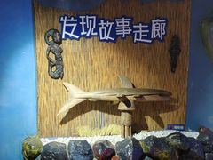 -大连圣亚海洋世界