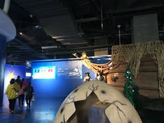 -重庆欢乐海底世界