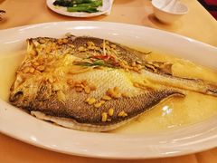 -北京长城饭店-21层中餐厅