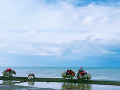 -青海湖国家重点风景名胜区