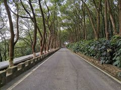 -上海市保健医疗中心