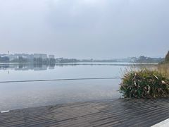 -林真真牛肋条放题(天马店)