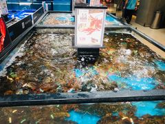 水产区-盒马鲜生(曜一城店)