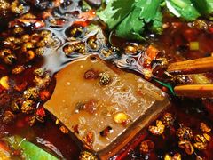 -铁公鸡·四川料理(天环广场店)