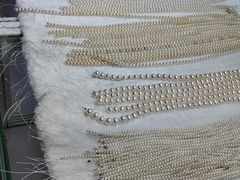 -重庆国际会议展览中心