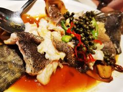 青花椒蒸龙胆鱼-闽和南(深圳万象城店)