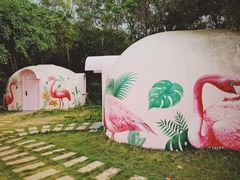 -漳州滨海火山岛自然生态风景区