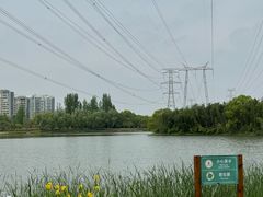 -昆山城市生态森林公园