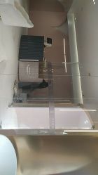 -本小姐美学·半永久纹眉野生眉