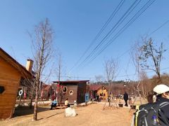-青龙山国家森林公园