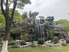 -上海鲜花港