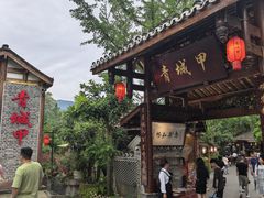 -青城甲(青城山店)