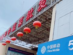 -重振华中蔬菜批发市场(重庆中路店)