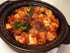 -陈麻婆豆腐总店