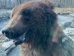 -北京野生动物园