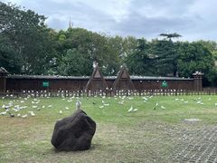 -上海野生动物园