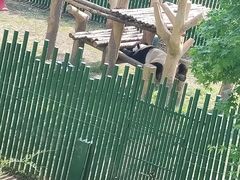 -沈阳森林动物园