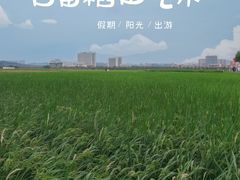 -光明小镇欢乐田园