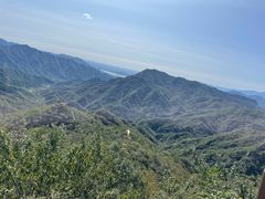 -大岭沟猕猴桃谷风景区