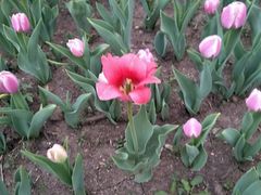 景点-长春公园(普阳街道)