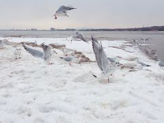 -老虎石海上公园