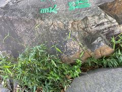 -香雪海
