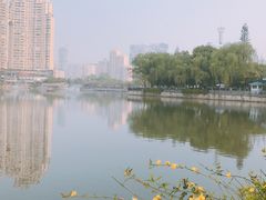 -西北湖绿化广场