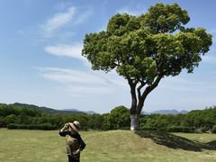 -大榭国际大酒店