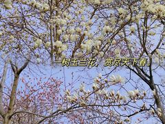 -睦南公园