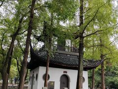 -汇龙潭