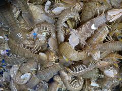 -三个渔夫·蒸汽海鲜(小白楼店)