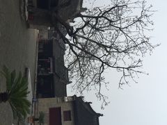 内乡县衙-内乡县衙博物馆