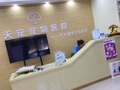 -天宠宠物医院24小时·急重症诊疗中心·全科·腔镜特色(和平分院)