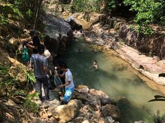 -广州白江湖森林公园