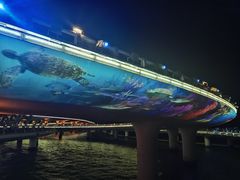 -演武大桥观景平台