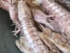 -鲜味食族水产·海鲜餐厅
