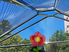 -金泽21世纪美术馆