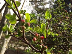 iphone_upload_pic-景山公园