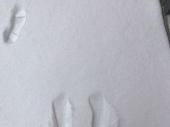 -武钢体育中心恒温游泳馆