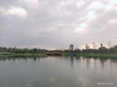 -白鹭湾湿地公园