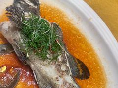 -新海利海鲜城·41年珠海老字号(夏湾店)