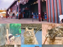 -青藏高原野生动物园