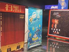 -奥斯卡升龙国际影城(RealD Cinema)