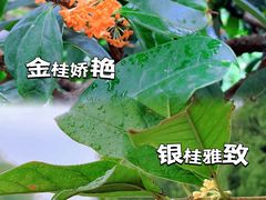 -颐和园