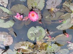 -河泥荡文化公园