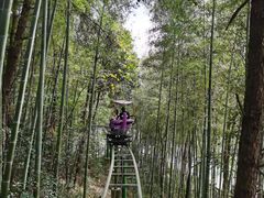 -石燕湖生态旅游景区