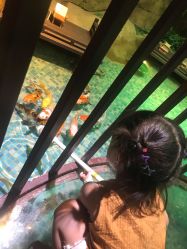 -酷嗒动物文化乐园(cutezoo西溪乐天城店)