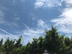 -黄桷坪涂鸦艺术街