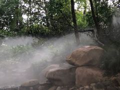 -成都市活水公园