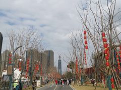 -三圣花乡旅游区